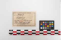 Etikett zu Bronzeortband (NHMW-PRAE-025457)